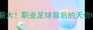 新疆雪豹球员年薪大职业足球背后的天价收入和残酷现实