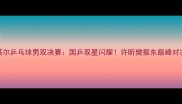 卡塔尔乒乓球男双决赛国乒双星闪耀许昕樊振东巅峰对决全
