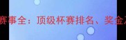 中国羽毛球赛事全顶级杯赛排名奖金及参赛攻略