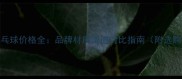 40克乒乓球价格全品牌材质渠道对比指南附选购技巧